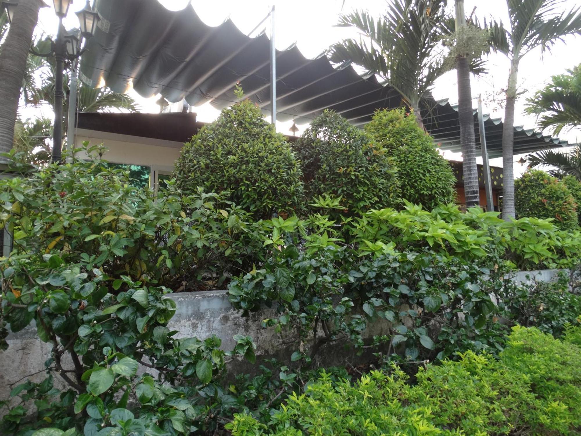 הו צ'י מין סיטי Hoai Pho Hotel מראה חיצוני תמונה